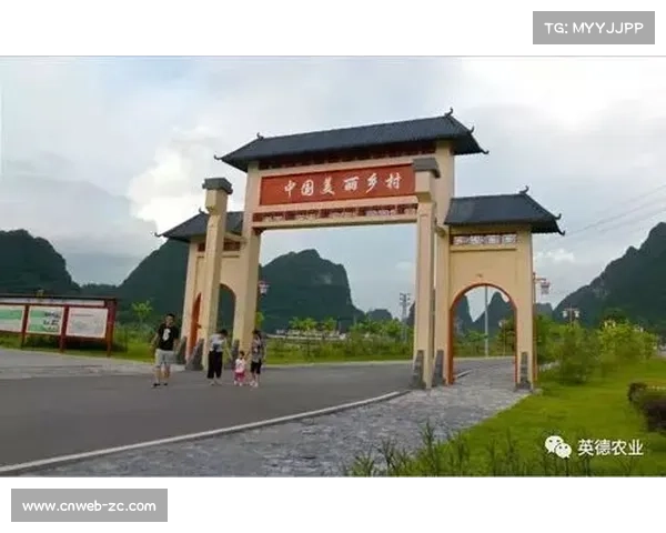 平湖市林埭镇入选中国美丽休闲乡村,棒球产业助推乡村振兴